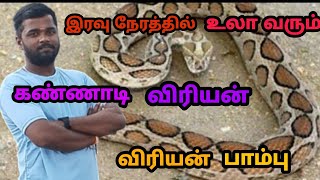 #இரவில் உலா வரும் #கண்ணாடி விரியன் #பாம்பு🐍#shorts