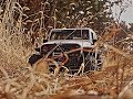 Axial SCX10 II Jeep Wrangler Rubicon Reed forest #