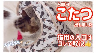 こたつ出しました😊トンネルつけたら猫用の入口完成🐈