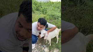 ആട് movie ലെ actor നെ കണ്ടു😂😎🥰 #minivlog -84 #chattambees #shorts #short