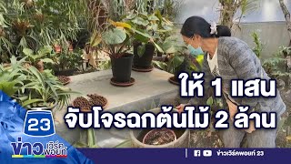 โจรขโมยต้นไม้ 2 ล้าน ตั้งรางวัลนำจับ 1 แสน l ข่าวเวิร์คพอยท์ l 7 ธ.ค. 64