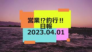 営業⁉釣行‼日報 2023 04 01