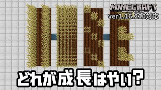 「植え方による作物の成長速度」を検証してみたところ、意外な結果に・・・【マイクラ統合版】【ゆっくり実況】