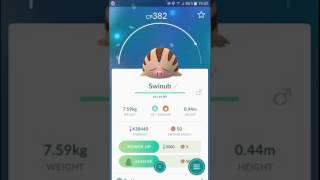 【Pokémon GO】进化『小山猪/Swinub』→『长毛猪/Piloswine』