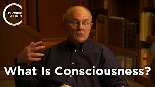 Warren Brown - What Is Consciousness?