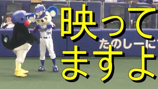 つば九郎ドアラの静止芸!!「油断大敵です。映ってますよ！ドアラさん(笑)」