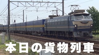 【貨物列車】本日の貨物列車　東海道本線2059番列車　Today's freight train