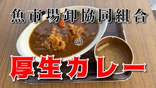 【横浜魚市場卸協同組合 構成食堂】牛すじカレー【横浜中央卸売市場】横浜朝めしチャンネル【魚市場卸協同組合 厚生カレー】