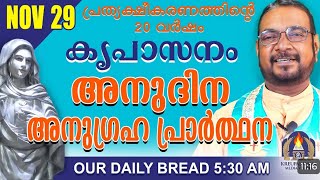 കൃപാസനം നിയോഗ പ്രാർത്ഥന നവംബർ 29#frvpjosephkreupasanam #kripasanam