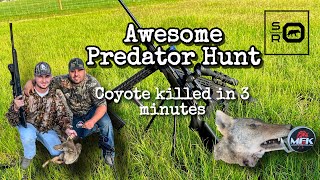 AWESOME Predator Hunt -- Coyote Killed in 3 Minutes -- MFK Game Calls