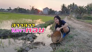 🇱🇦อริสาพาเลาะท่งนาเก็บหอย ອາລິສາພາເລາະທົ່ງນາເກັບຫອຍ🇱🇦