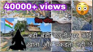 TILSA Wada SHIV TEMPLE |God's fish |miracle fish |Vaitarna| तिळसे देव मासे |wada tilaseshwar/palghar