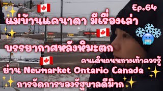 PinkyReview[ep.64]🇨🇦แม่บ้านแคนาดามีเรื่องเล่า บรรยากาศหลังหิมะตกหนัก ย่านNewmarket Ontario Canada