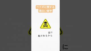 【雑学】ウナギに関する面白い雑学 #shorts #short #うなぎ #雑学