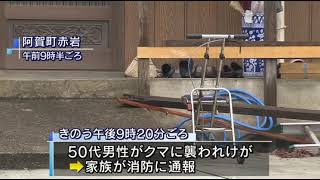 クマに襲われ50代男性けが 新潟県阿賀町20191114(動物愛誤)(製造車禍.傷人.人身被害)(Animal Attacks)(アニマルホーダー.Animal Hoarding)(狂犬病)