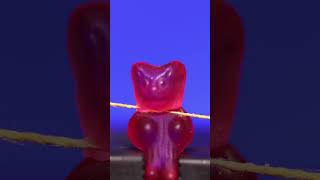 Gummy bear vs. String (Macro / Close-Up) #asmr #closeup #macro #macrovideo #asmrvideo #satisfying