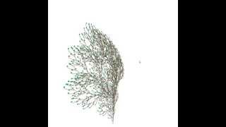 Simple L System implementation in C++