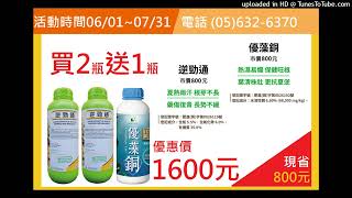 【其他果樹】2024.06.04-黃金果與榴槤蜜，成長期施肥用台肥4號5號各半混合使用，當43號傻瓜肥使用，含磷較低？用給力肥2號，台肥1號控釋肥，哪個好？差異在哪裡？