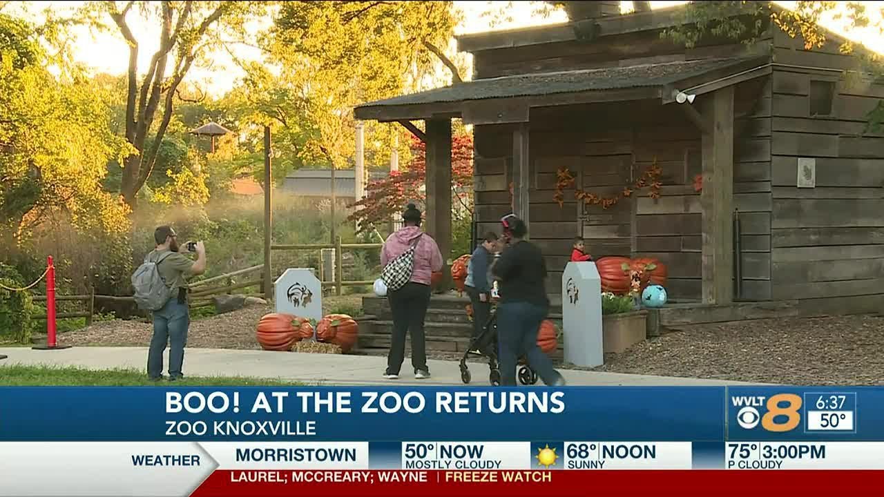 Boo! At The Zoo Returns To Zoo Knoxville - YouTube