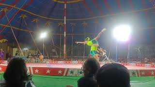 Daring Cycling Stunts: Incredible Balance \u0026 Skill at the Circus