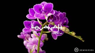 Progressive Melodic - Language of Flowers –DJ  Levanah - 432Hz