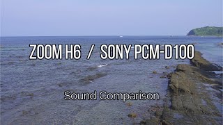 ZOOM H6 / SONY PCM-D100 : Sound Comparison (The sound of a rocky shore 03)