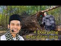 Ceramah Ustadz Abdul Somad 4 Dosa Besar Menurut Islam