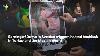 Burning of Quran in Sweden triggers heated backlash in Turkey and the Muslim World