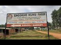 Engokho Kuku farm