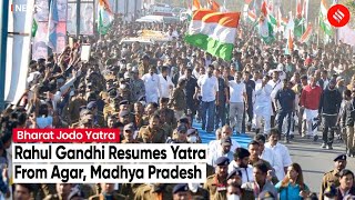 LIVE- Bharat Jodo Yatra: Rahul Gandhi Resumes Yatra From Agar, Madhya Pradesh