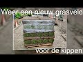 Weer een nieuw grasveldje voor de kippen.