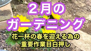 【重要作業】土壌改良・摘心・寒肥・鉢上げ・購入苗のご紹介と植え付けなど・・・花咲く春に備えた庭作業をいくつかまとめた動画です。#gardening #ガーデニング #flowers #garden