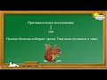 Русский язык. Части речи. Местоимение.