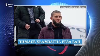 UFC-н латархо Чимаев Нохчийчу вахар, Bellingcat-н талламаш, Соьлжа-ГIалара зуламаш