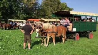 Begrüßung zum Beginn der Stüdenitzer Reitjagd 2016