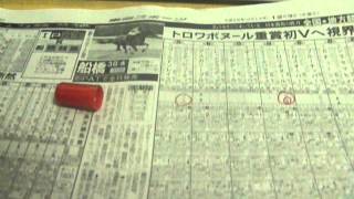 競馬予想　第６０回 クイーン賞GⅢ　2014/12/3（水）船橋10R　【Y氏の馬券・地方競馬探券】Hunabashi Racecourse 10R　　Horse Racing