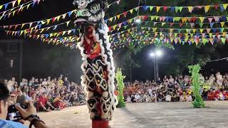 醒狮出洞 Lion dance | 生猛形象逼真，细节满分！Wonderful lion dance performance