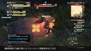 DDON アルケミスト 錬成物質最大爆破のダメージ ドラゴンズドグマ オンライン