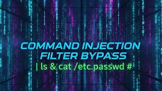 Command Injection Filter Bypass Lab | Hackviser | Skin Security