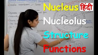 Nucleus Structure & Functions in Hindi | Nucleolus | Nuclear Membrane | Nucleopl