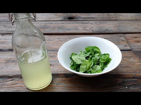 Homemade Rice vinegar Homemade Rice vinegar