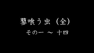 【ノイズ除去版概要欄ご参照ください】『蓼(たで)喰う虫(全)　その１～１４』谷崎潤一郎　安眠誘発　眠れない　眠れる　寝落ち　寝る前に聞く　不眠症対策　深い眠り　疲労回復　リラックス　ネイティブ関西弁