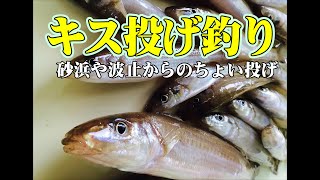 堤防や砂浜から釣るシロギスの投げ釣り入門