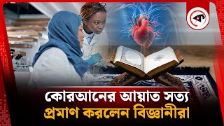 এতদিনে কোরআনের কাছে হার মানলেন বিজ্ঞানীরা | quran vs science | A Little Brain In The Heart