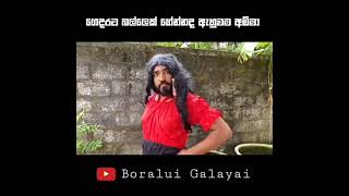 අනෙ අම්මේ මේ බල්ලෙ  නිසා මුට බනින විදිය 😂😂😂#new #meme #2024 😂😂😂#bigblast