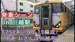 E257系（NB-19編成） “快速 おさんぽ川越号  新習志野行き”電車 川越駅を発車する 2019/10/20