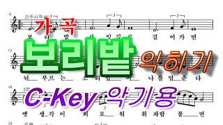 보리밭-가곡 연습해보기 독학 오카리나 팬플룻 C키용