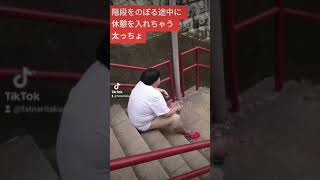 【デブあるある】階段をのぼる途中に休憩を入れちゃう太っちょ#Shorts