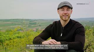 DAS WEINBAUGEBIET WEINVIERTEL - Gebietsvideo