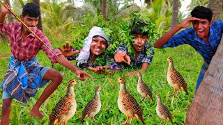 Hunting Kawthari Bird and cooked in Traditional style || வேட்டையாடி வருத்த கவுதாரி கறி || #kuttyvcc